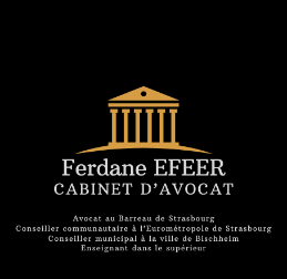 Ferdane EFEER EI